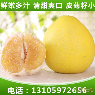 興鑫隆凱新鮮前岐四季柚與平和蜜柚 優(yōu)質(zhì)有機柚子批發(fā)首選